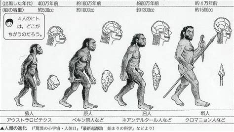 旧人 意味|旧人とは その特徴とネアンデルタール人 世界史用語28 / 世界史。